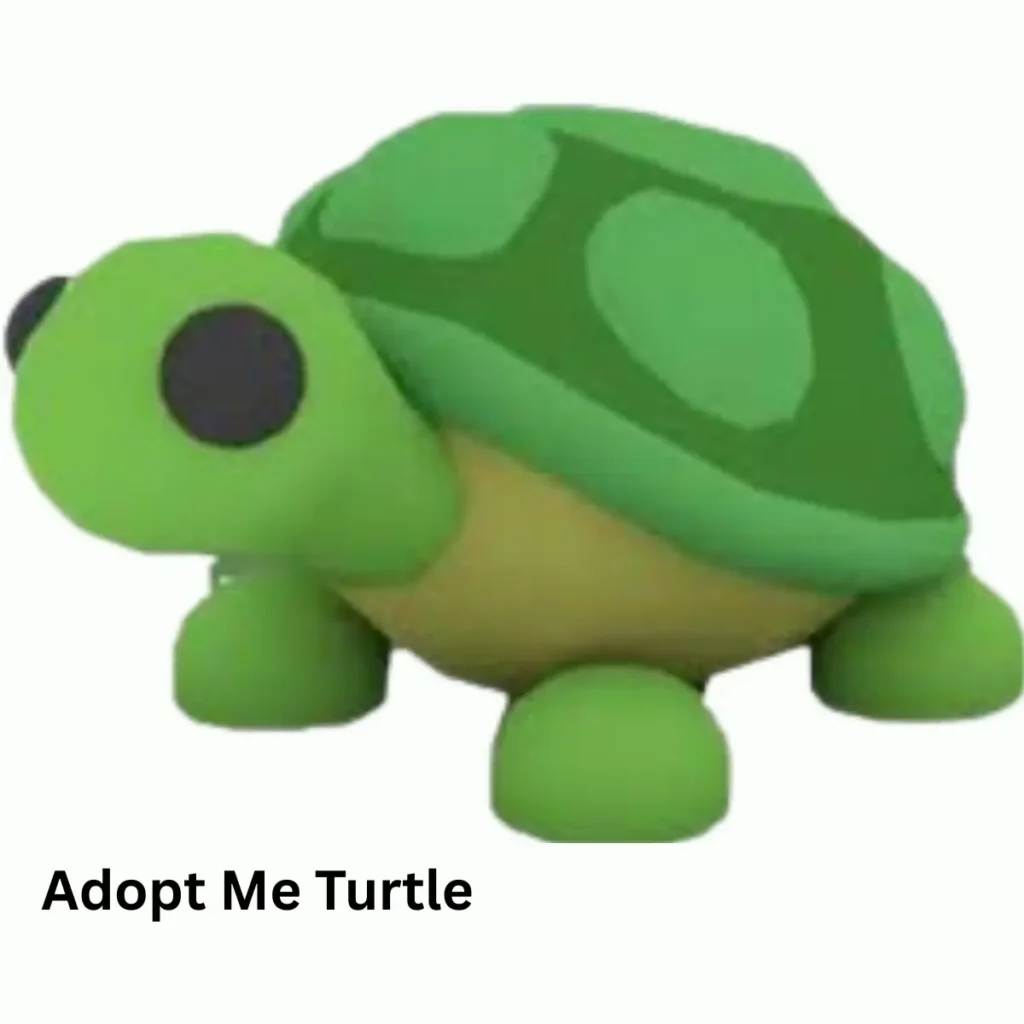 Adopt Me Turtle